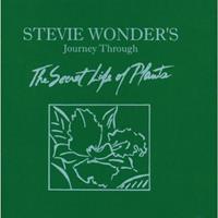Stevie Wonder Wonder, S: Secret Life Of Plants