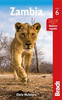 Bradt Travel Guides Zambia (6th Ed) - Chris Mcintyre