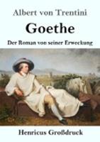 albertvontrentini Goethe (Großdruck)