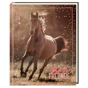 Freundebuch - I LOVE HORSES - Beste Freunde