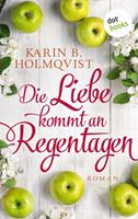 Karin B. Holmqvist Die Liebe kommt an Regentagen:Roman 