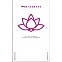 Hans Maes Wat is sexy? -  (ISBN: 9789082894233)