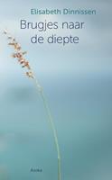 Elisabeth Dinnissen Brugjes naar de diepte -  (ISBN: 9789056704100)