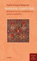 Tenzin Wangyal Rinpoche Spontane creativiteit -  (ISBN: 9789056704032)