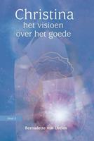 Bernadette Von Dreien Het visioen over het goede -  (ISBN: 9789460151866)