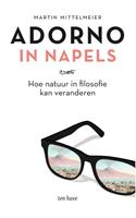 Martin Mittelmeier Adorno in Napels -  (ISBN: 9789025908676)