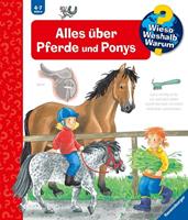 Andrea Erne Alles über Pferde und Ponys