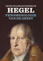 Willem Visser Fenomenologie van de geest -  (ISBN: 9789024446377)