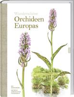 Bo Mossberg, Henrik Pedersen Wunderschöne Orchideen Europas