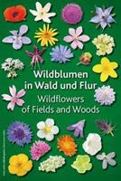 Keller-Krische Wildblumen in Wald und Flur