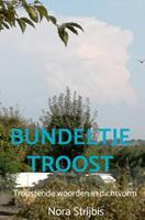 Nora Strijbis Bundeltje troost -  (ISBN: 9789403606736)