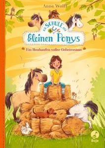 Boje Verlag Ein Heuhaufen voller Geheimnisse / Die Schule der kleinen Ponys Bd.1