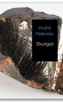 André Molenaar Shungiet -  (ISBN: 9789402129762)