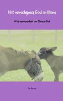 Jan Vermeij Het verschijnsel God en mens -  (ISBN: 9789402103076)