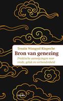 Tenzin Wangyal Rinpoche Bron van genezing -  (ISBN: 9789056704322)