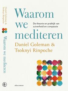 Daniël Goleman, Tsoknyi Rinpoche Waarom we mediteren -  (ISBN: 9789045045115)