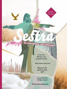 Sestra De schoonheid van scherven - (ISBN: 9789464250237)