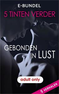 Alison Tyler Gebonden in lust -   (ISBN: 9789402550252)