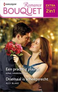 Ally Blake, Nina Harrington Een prachtig plaatje / Driemaal is scheepsrecht -   (ISBN: 9789402550986)