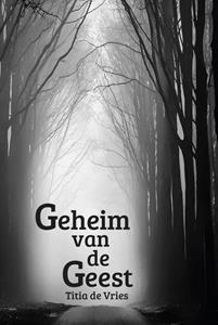 Titia de Vries Geheim van de Geest -   (ISBN: 9789493210141)