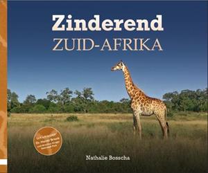 Nathalie Bosscha Zinderend Zuid-Afrika -   (ISBN: 9789491863714)