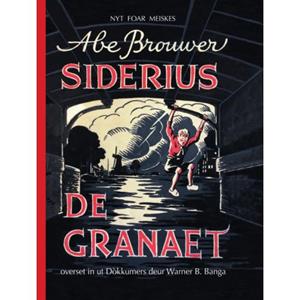 Wijdemeer Louw Dijkstra Siderius De Granaet - Abe Brouwer