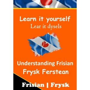 Mijnbestseller B.V. Understanding Frisian ! Frysk Ferstean ! Learnfrisian: Learn It Yourself - Auke de Haan