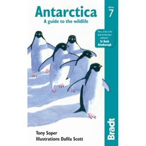 Bradt Travel Guides Antarctica (7th Ed) - Bradt
