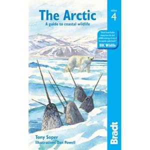 Bradt Travel Guides Arctic (4th Ed) - Bradt