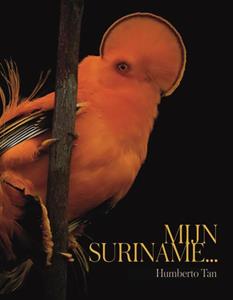 Emma Louise Diest, Humberto Tan Mijn Suriname -   (ISBN: 9789082877199)