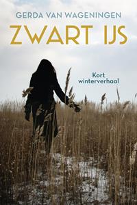 Gerda van Wageningen Zwart ijs -   (ISBN: 9789020548891)