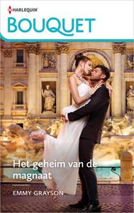 Emmy Grayson Het geheim van de magnaat -   (ISBN: 9789402557732)