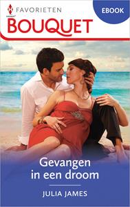Julia James Gevangen in een droom -   (ISBN: 9789402563979)