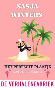 Sasja Winters Het perfecte plaatje -   (ISBN: 9789461098528)