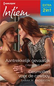 Charlene Sands, Sarah M. Anderson Aantrekkelijk gevaarlijk / Gesmolten voor de cowboy -   (ISBN: 9789402568684)