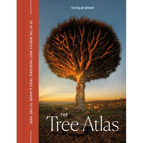 62damrak Lonely Planet The Tree Atlas - Lonely Planet Inspiration