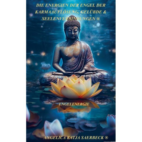 Mijnbestseller B.V. Die Energien Der Engel Der Karmaauflösung, Gelübde & Seelenverbindungen - Angelica Katja Saerbeck 