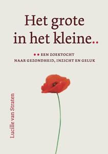 Lucille van Straten Het grote in het kleine -   (ISBN: 9789493349179)