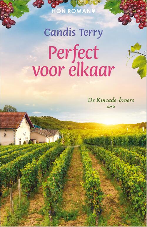 Candis Terry Perfect voor elkaar -   (ISBN: 9789402570380)
