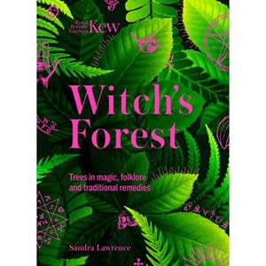 Welbeck Kew: Witch's Forest - Sandra Lawrence