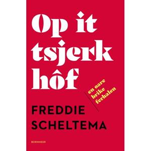 20 Leafdesdichten Bv Bornmeer Op It Tsjerkhôf En Oare Brike Ferhalen - Freddie Scheltema