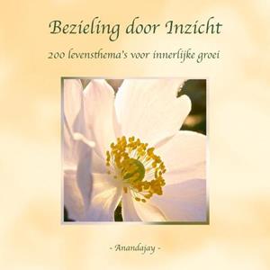 Anandajay Bezieling door Inzicht -   (ISBN: 9789465016498)