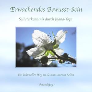 Brave New Books Erwachende Bewusstsein - Anandajay _