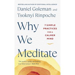 Penguin Why We Meditate - Goleman, Daniel