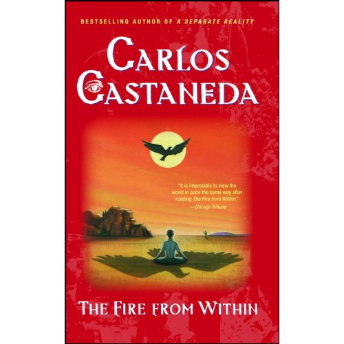 Simon & Schuster Nederland B.V. Fire From Within - Carlos Castaneda