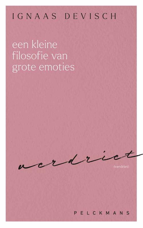 Ignaas Devisch Een kleine filosofie van grote emoties: Verdriet -   (ISBN: 9789462348035)