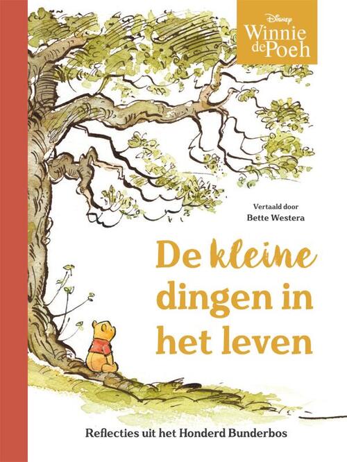 Catherine Hapka, Disney Winnie de Poeh. De kleine dingen van het leven -   (ISBN: 9789047635130)