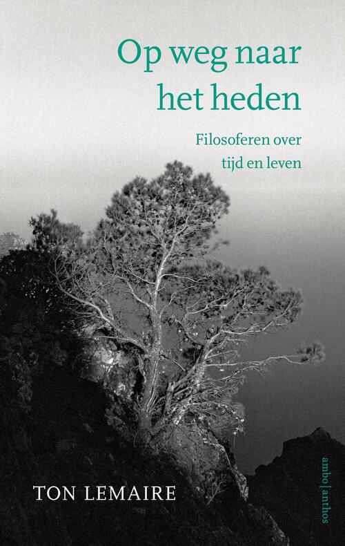 Ton Lemaire Op weg naar het heden -   (ISBN: 9789026373886)