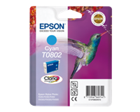 Epson Patronen  - 