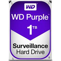 Western Digital »WD Purple™« HDD-Festplatte 3,5" (1 TB), Surveillance Drive)